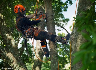 Vernetzte Gartenpflege