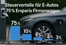 E-Auto Firmwagen, Steuer, Föderung